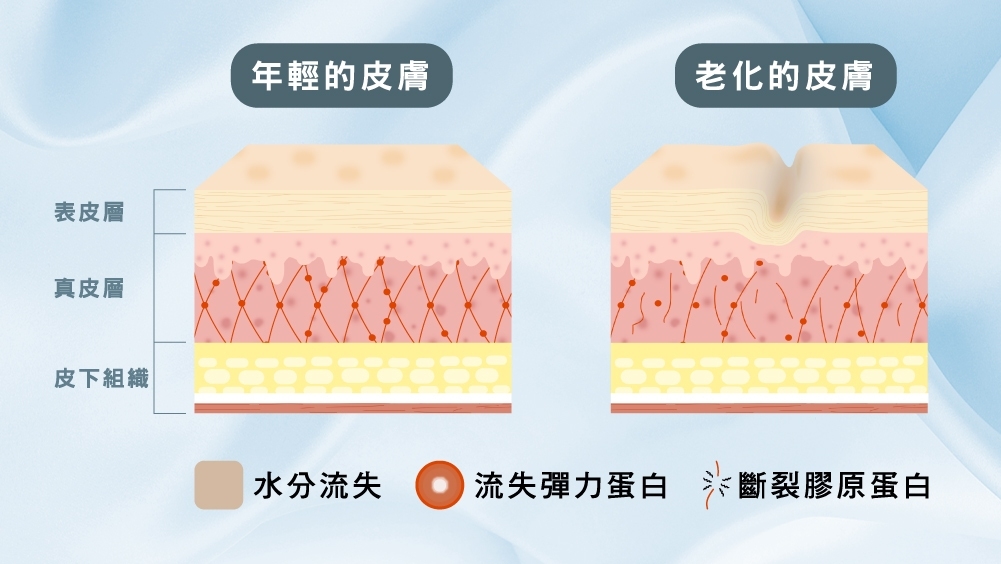 晶鑽診所 拉提效果 醫美推薦 電波音波的差異