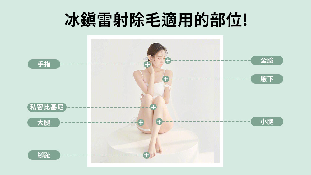 晶鑽診所 亞歷山大冰鎮除毛適用部位